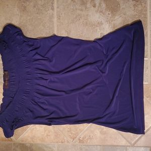 The Limited dressy purple top size XS.